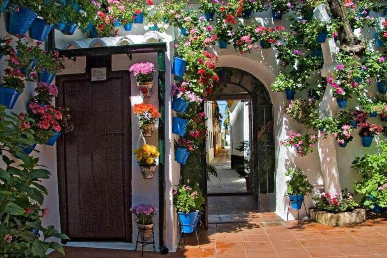 Grupo Limcotel Perla 1 Cordoba Dış mekan fotoğraf
